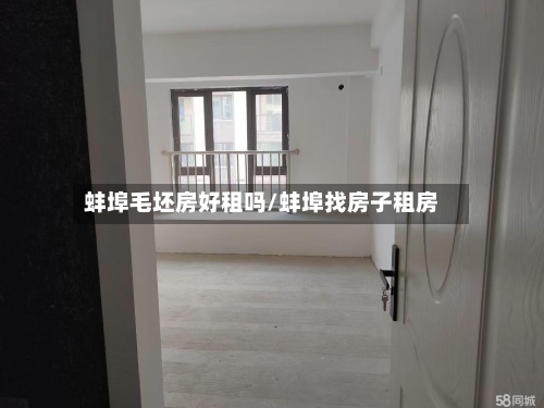蚌埠毛坯房好租吗/蚌埠找房子租房-第3张图片