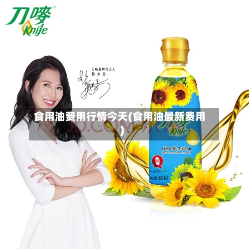 食用油费用行情今天(食用油最新费用)-第2张图片