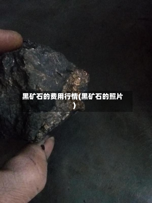黑矿石的费用行情(黑矿石的照片)