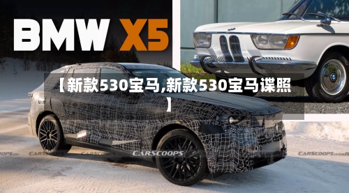 【新款530宝马,新款530宝马谍照】-第2张图片