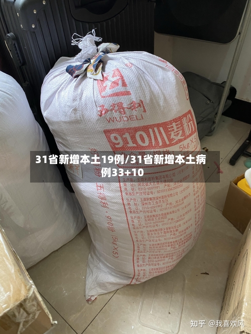 31省新增本土19例/31省新增本土病例33+10-第2张图片