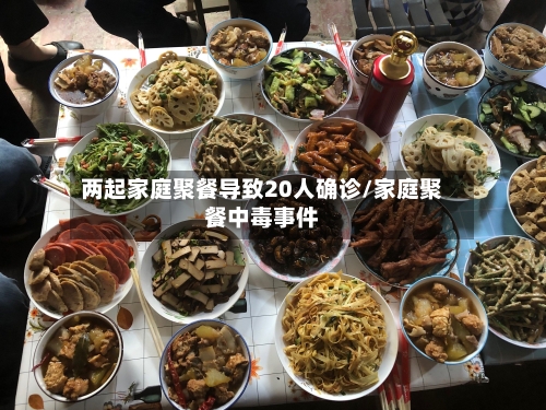 两起家庭聚餐导致20人确诊/家庭聚餐中毒事件
