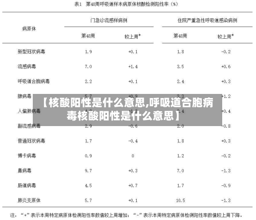【核酸阳性是什么意思,呼吸道合胞病毒核酸阳性是什么意思】-第2张图片