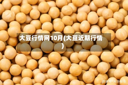 大豆行情网10月(大豆近期行情)
