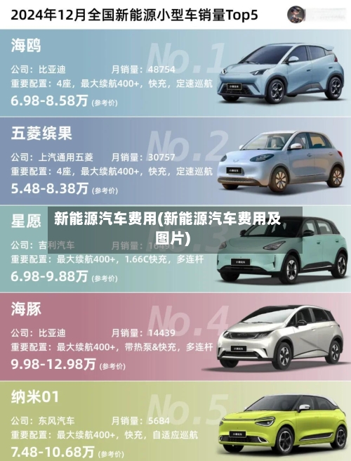 新能源汽车费用(新能源汽车费用及图片)-第2张图片
