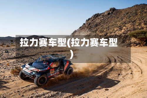 拉力赛车型(拉力赛车型)