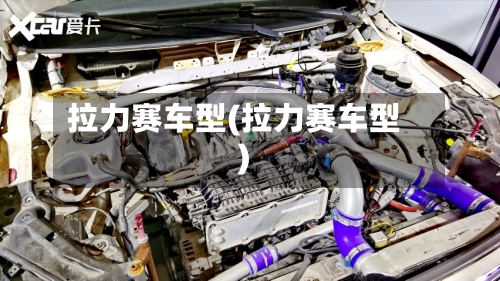 拉力赛车型(拉力赛车型)-第2张图片