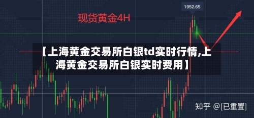 【上海黄金交易所白银td实时行情,上海黄金交易所白银实时费用】-第3张图片