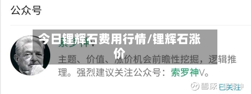 今日锂辉石费用行情/锂辉石涨价-第2张图片