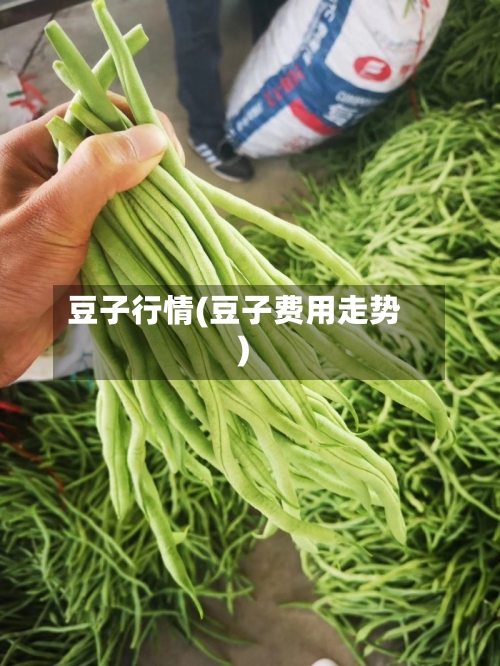 豆子行情(豆子费用走势)-第3张图片
