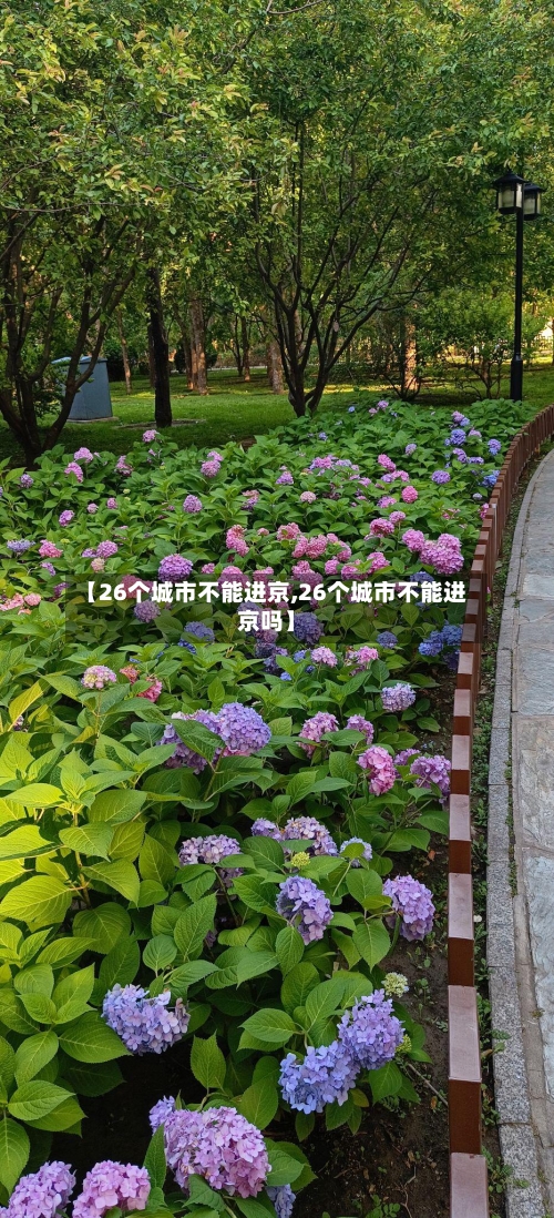 【26个城市不能进京,26个城市不能进京吗】-第2张图片