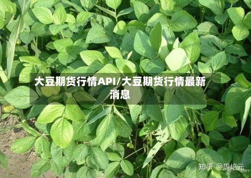 大豆期货行情API/大豆期货行情最新消息-第2张图片
