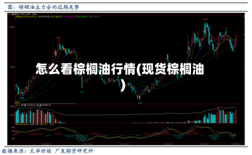 怎么看棕榈油行情(现货棕榈油)