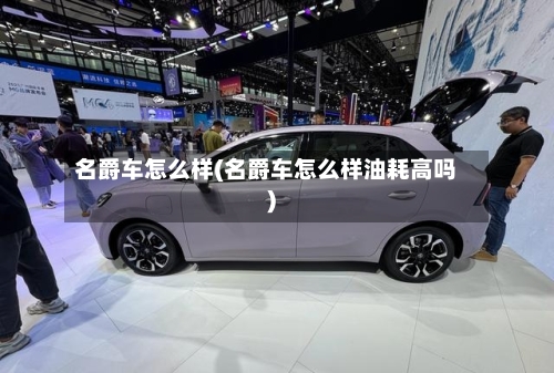 名爵车怎么样(名爵车怎么样油耗高吗)-第2张图片