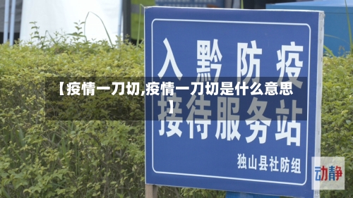 【疫情一刀切,疫情一刀切是什么意思】-第2张图片