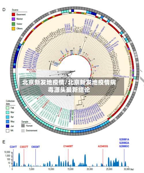 北京新发地疫情/北京新发地疫情病毒源头最新结论-第2张图片