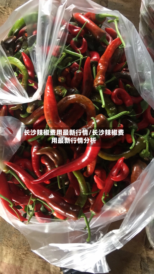 长沙辣椒费用最新行情/长沙辣椒费用最新行情分析