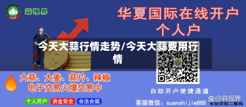 今天大蒜行情走势/今天大蒜费用行情