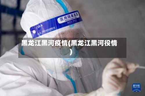黑龙江黑河疫情(黑龙江黑河役情)-第3张图片