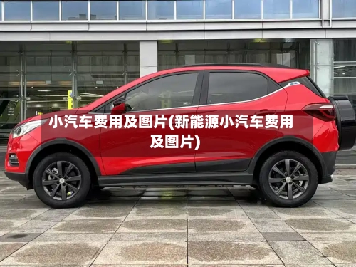 小汽车费用及图片(新能源小汽车费用及图片)-第3张图片