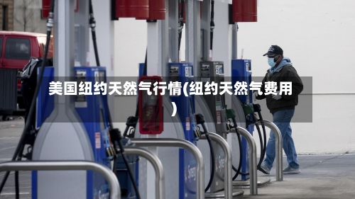 美国纽约天然气行情(纽约天然气费用)
