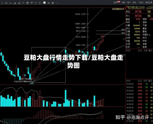 豆粕大盘行情走势下载/豆粕大盘走势图-第2张图片