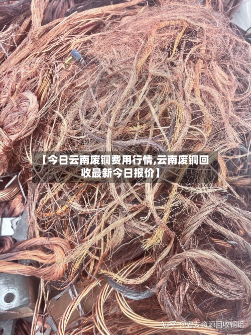 【今日云南废铜费用行情,云南废铜回收最新今日报价】-第2张图片