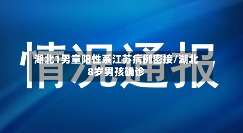 湖北1男童阳性系江苏病例密接/湖北8岁男孩确诊-第2张图片