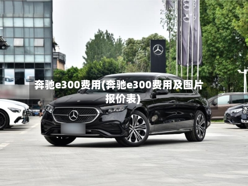 奔驰e300费用(奔驰e300费用及图片 报价表)-第3张图片