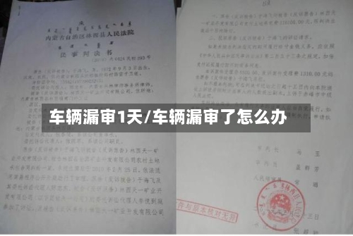 车辆漏审1天/车辆漏审了怎么办