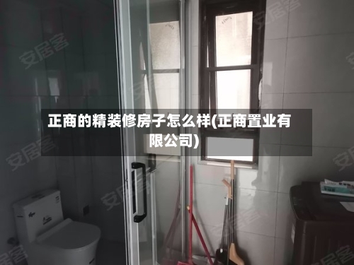正商的精装修房子怎么样(正商置业有限公司)-第2张图片