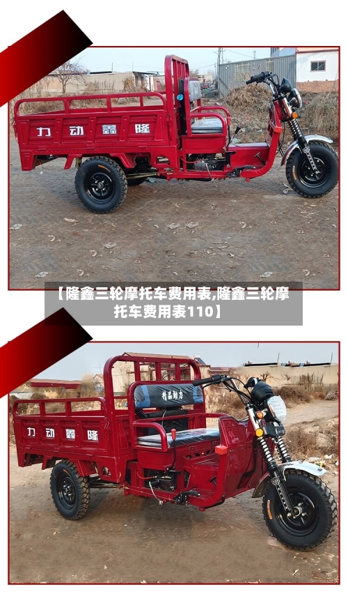【隆鑫三轮摩托车费用表,隆鑫三轮摩托车费用表110】-第3张图片