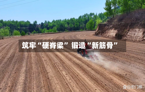 筑牢“硬脊梁” 锻造“新筋骨”