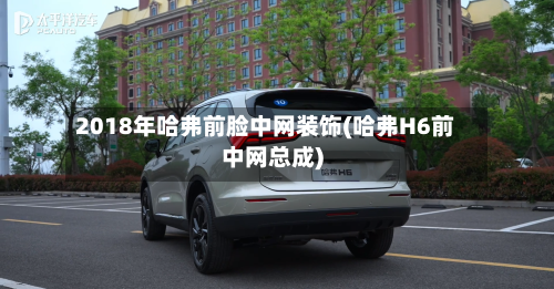 2018年哈弗前脸中网装饰(哈弗H6前中网总成)-第3张图片