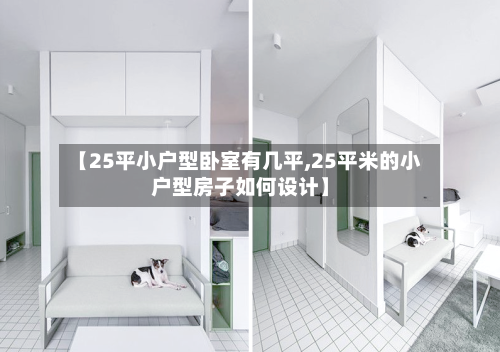 【25平小户型卧室有几平,25平米的小户型房子如何设计】-第3张图片
