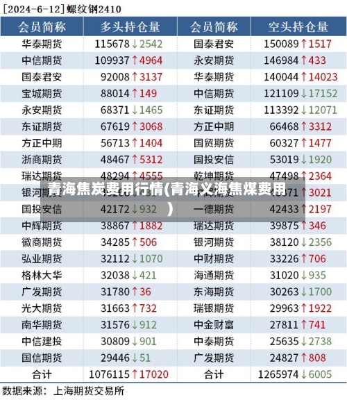 青海焦炭费用行情(青海义海焦煤费用)-第3张图片
