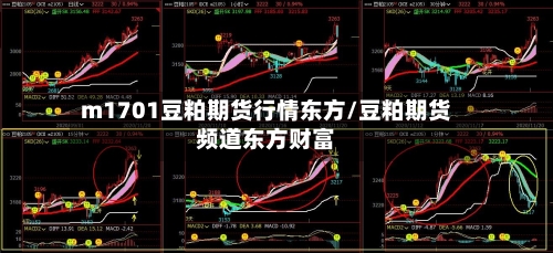 m1701豆粕期货行情东方/豆粕期货频道东方财富-第2张图片