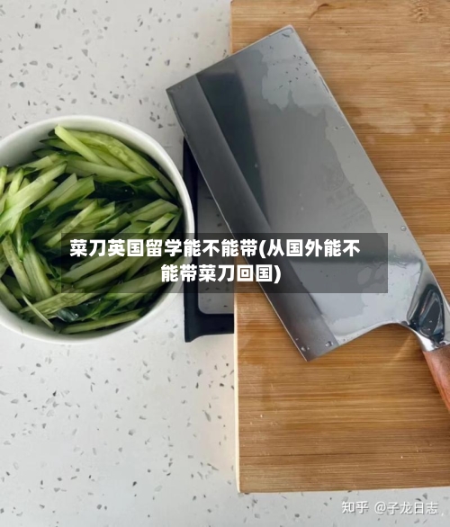 菜刀英国留学能不能带(从国外能不能带菜刀回国)-第2张图片