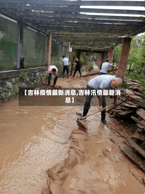 【吉林疫情最新消息,吉林汛情最新消息】-第3张图片