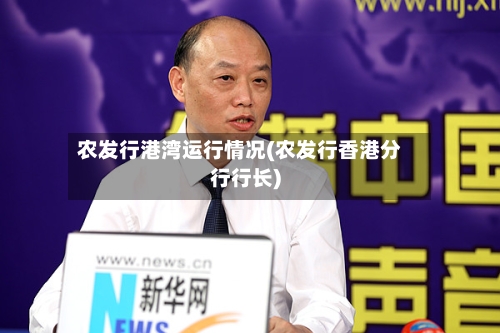 农发行港湾运行情况(农发行香港分行行长)