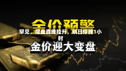 罕见，尾盘直线拉升，明日停牌1小时-第2张图片