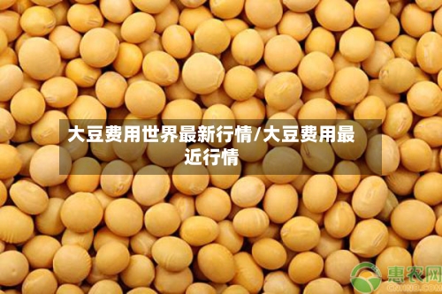 大豆费用世界最新行情/大豆费用最近行情-第2张图片