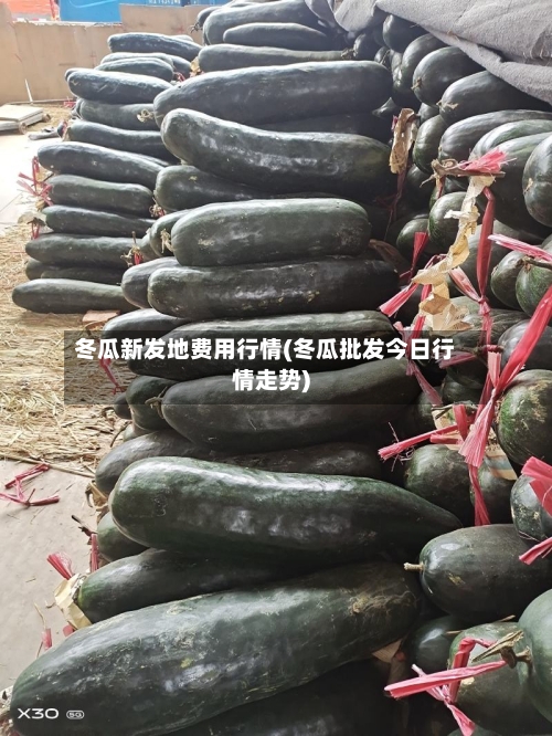 冬瓜新发地费用行情(冬瓜批发今日行情走势)