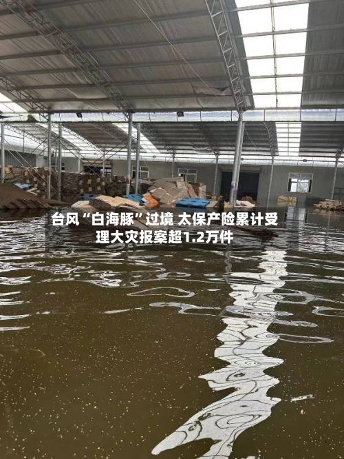 台风“白海豚”过境 太保产险累计受理大灾报案超1.2万件