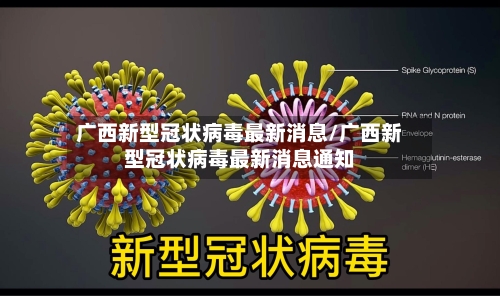 广西新型冠状病毒最新消息/广西新型冠状病毒最新消息通知