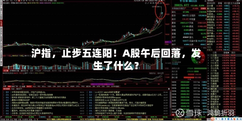 沪指，止步五连阳！A股午后回落，发生了什么？