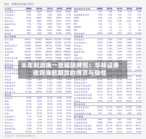 半年利润换一张稀缺牌照：华林证券收购海航期货的博弈与隐忧