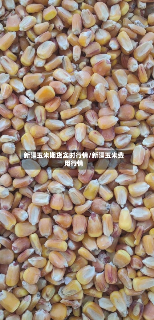 新疆玉米期货实时行情/新疆玉米费用行情-第2张图片