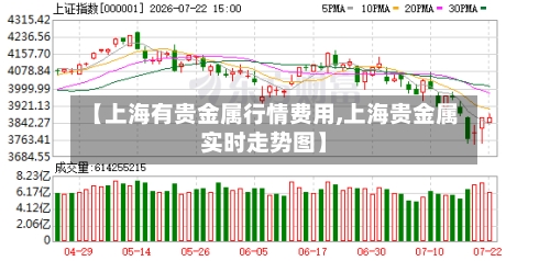 【上海有贵金属行情费用,上海贵金属实时走势图】-第2张图片