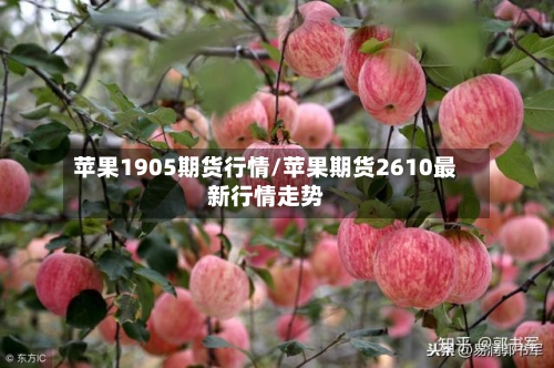 苹果1905期货行情/苹果期货2610最新行情走势-第2张图片